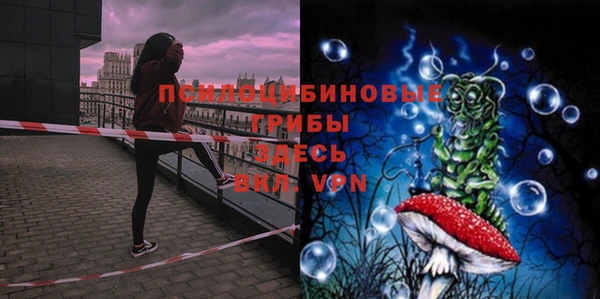 метадон Белокуриха