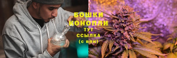 метадон Белокуриха